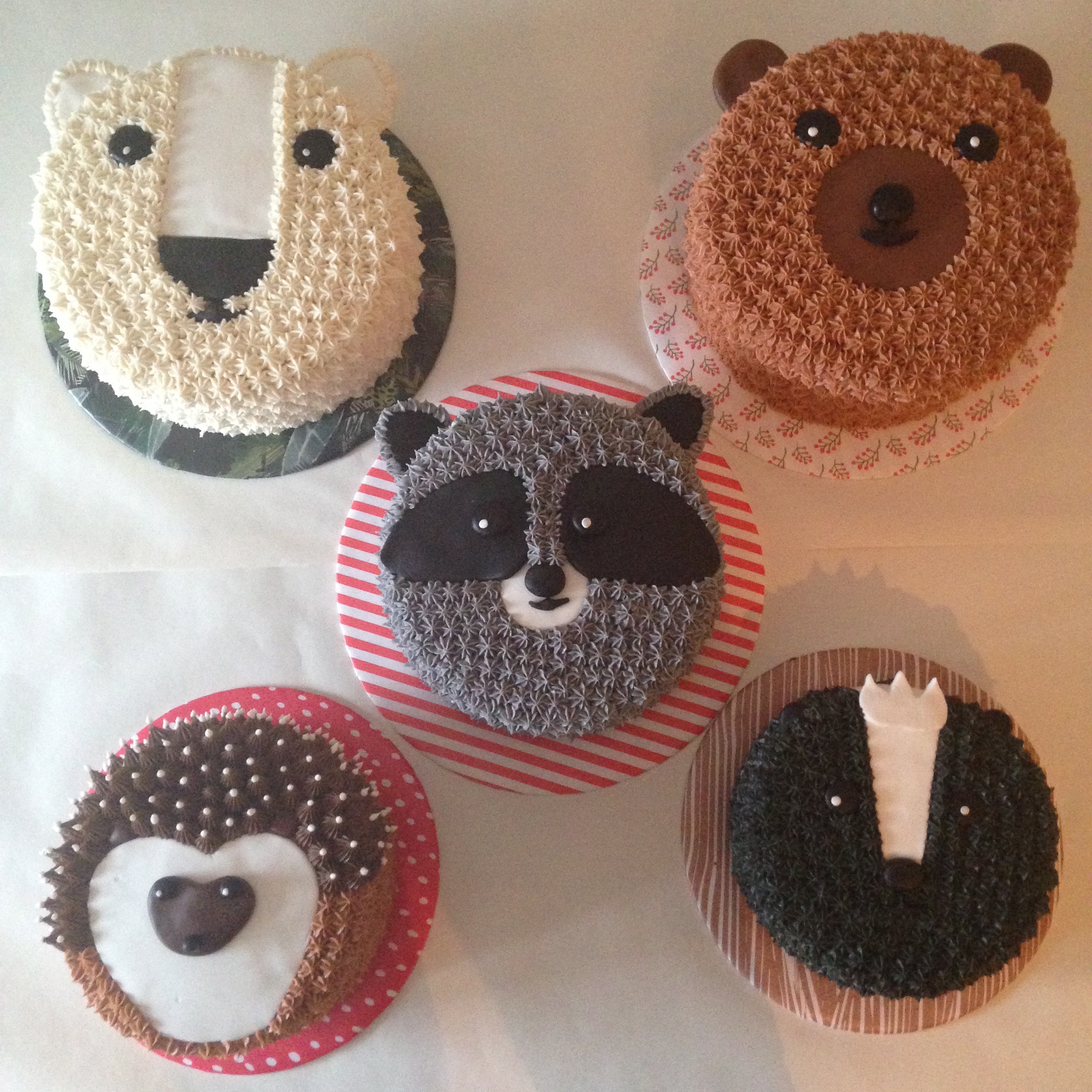 polar bear, raccoon, brown bear, hedgehog and skunk hibernators cakes